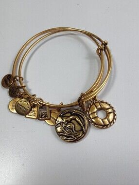 Alex and Ani Rafaelian Gold Team USA Swimming & Lifeguard Charm Bangle Bracelets